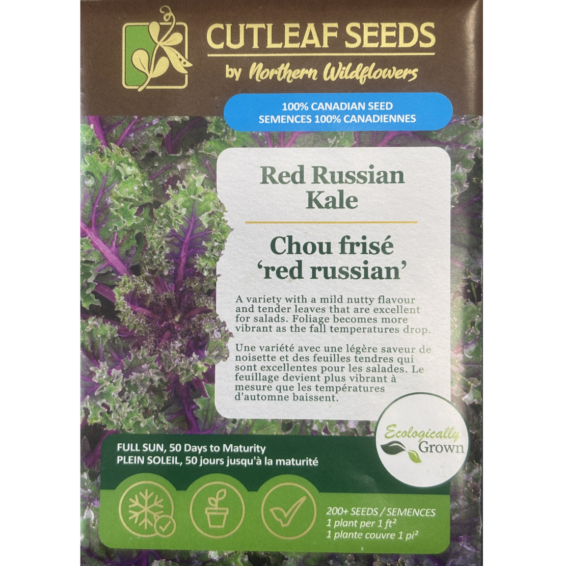 Northern Wildflowers Kale Red Russian Pkg.