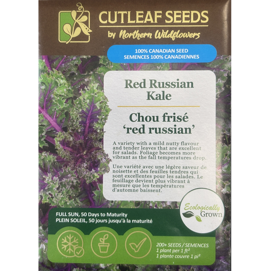 Northern Wildflowers Kale Red Russian Pkg.