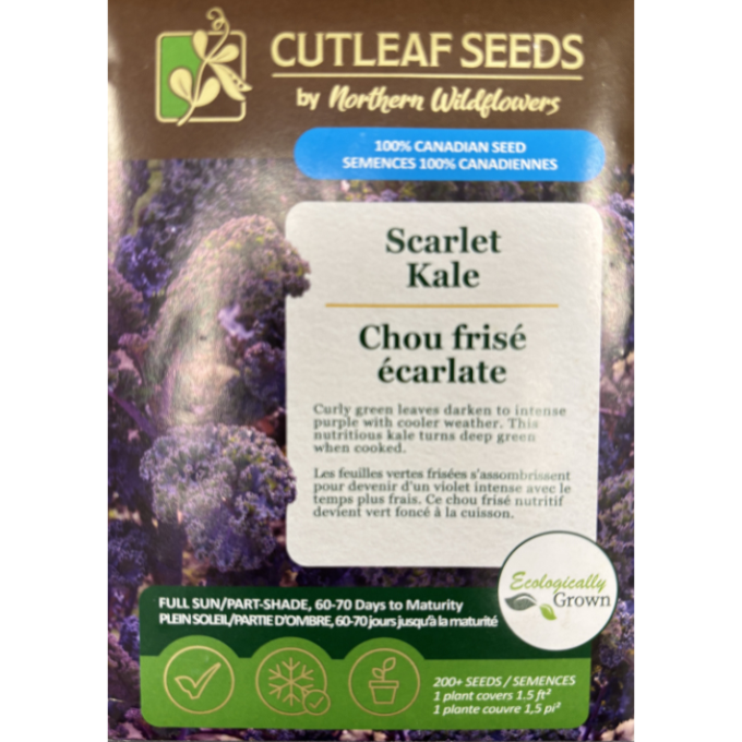 Northern Wildflowers Kale Scarlet Pkg.