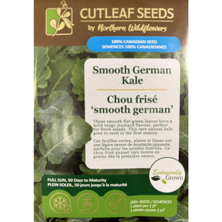 Northern Wildflowers Kale Smooth German Pkg.