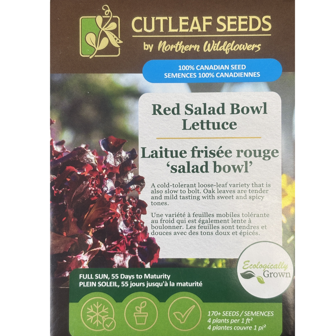 Northern Wildflowers Lettuce Red Salad Bowl Pkg.