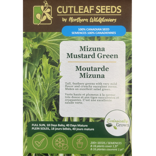 Northern Wildflowers Mizuna Mustard Green