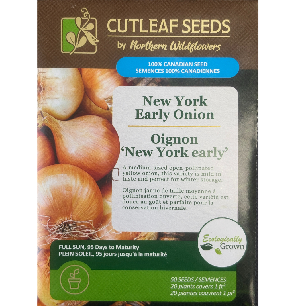 Northern Wildflowers Onion New York Early Pkg.