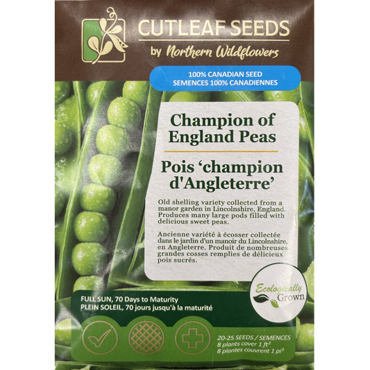 Northern Wildflowers Pea Champion of England Pkg.