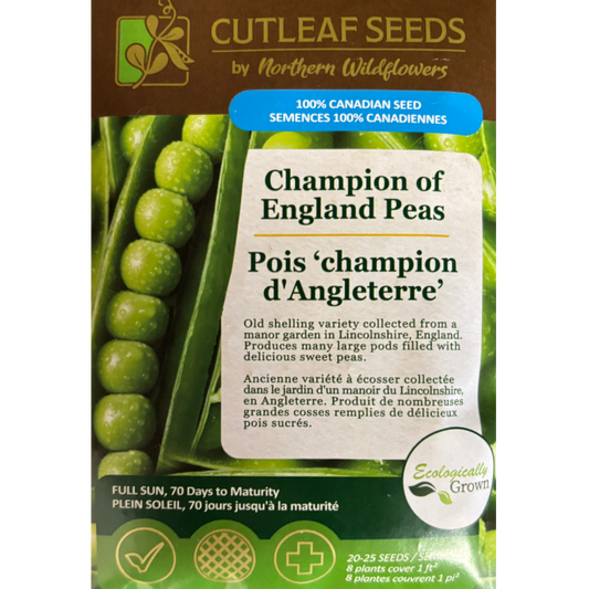 Northern Wildflowers Pea Champion of England Pkg.