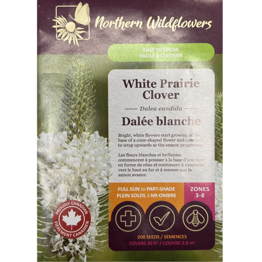 Northern Wildflowers Clover White Prairie