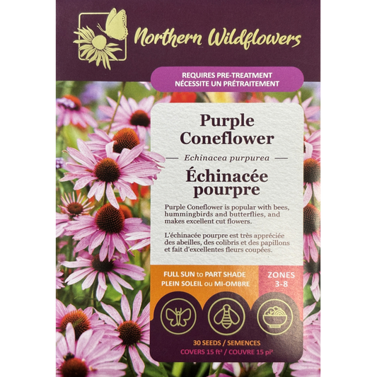 Northern Wildflowers Coneflower Purple  Pkg.