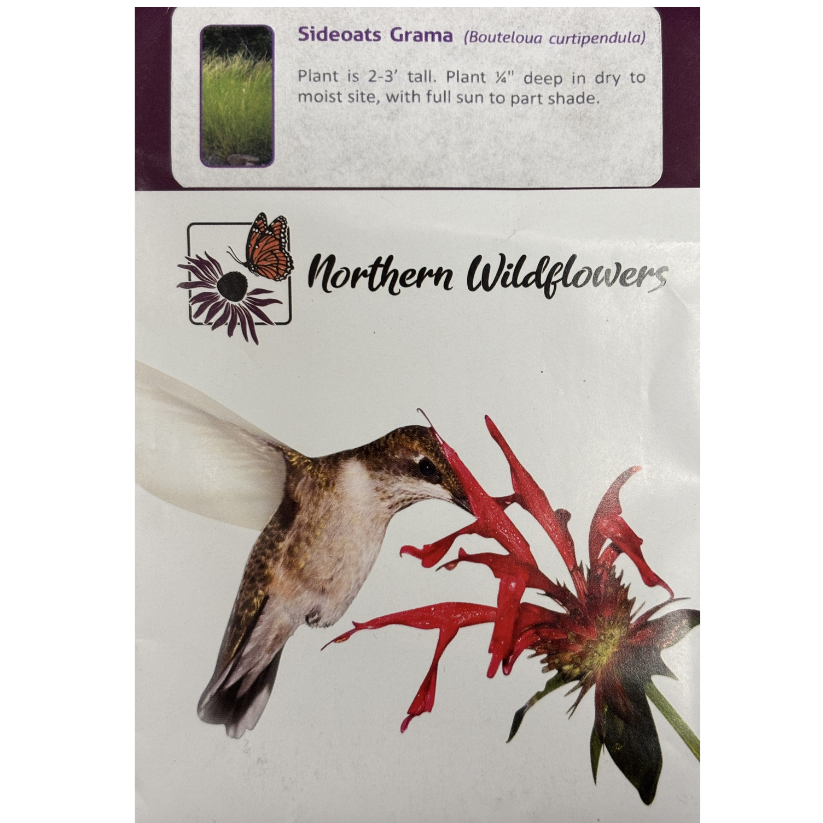 Northern Wildflowers Sideoats Grama Pkg.