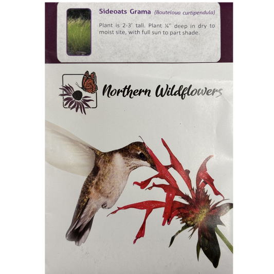 Northern Wildflowers Sideoats Grama Pkg.
