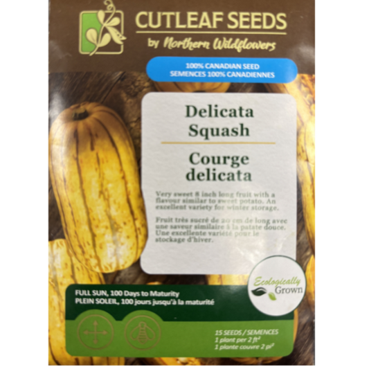 Northern Wildflowers Squash Delicata Pkg.