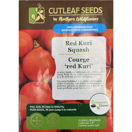 Northern Wildflowers Squash Red Kuri Pkg.