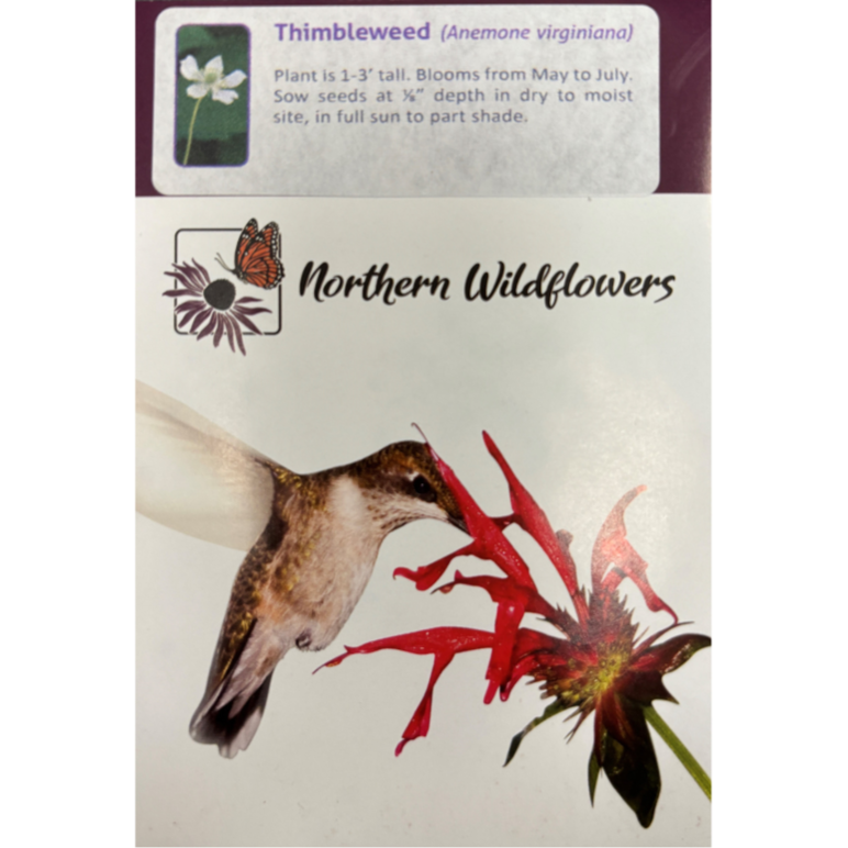Northern Wildflowers Thimbleweed