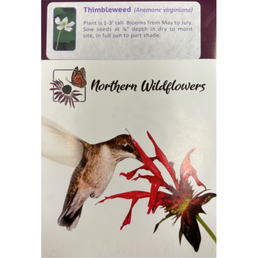 Northern Wildflowers Thimbleweed