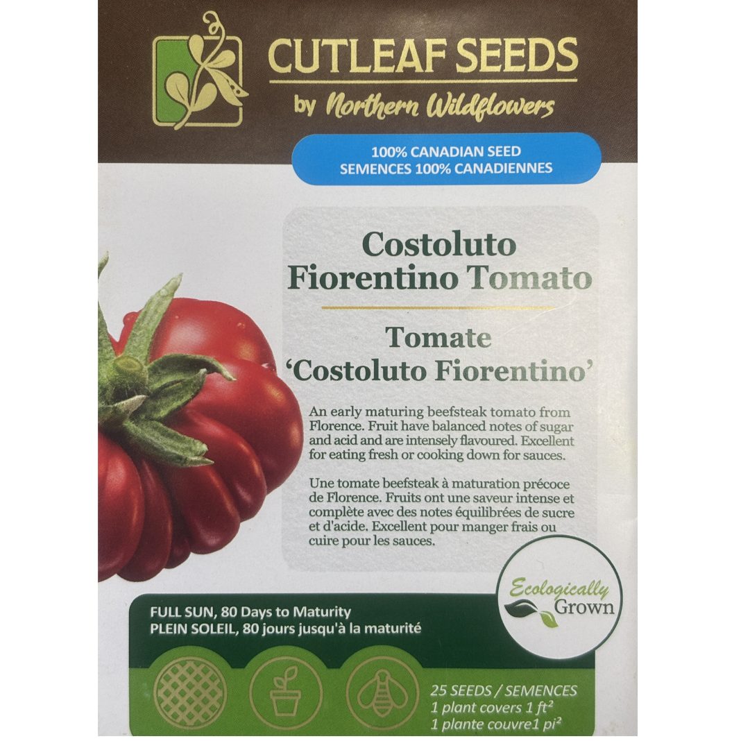 Northern Wildflowers Tomato Costoluto Fiorentino Pkg.