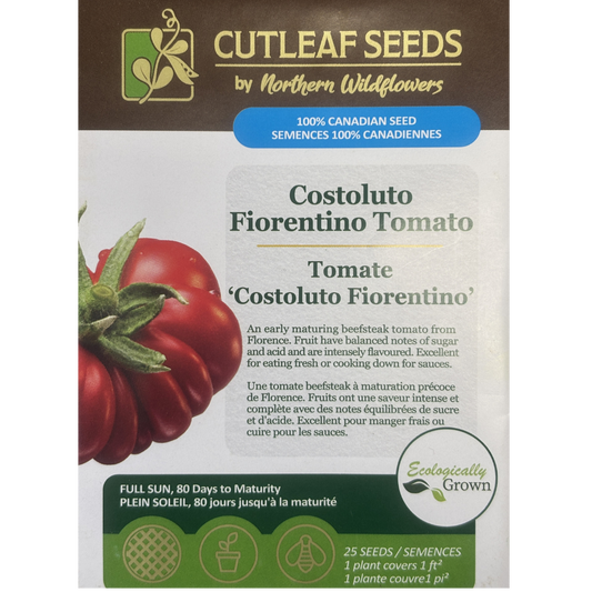 Northern Wildflowers Tomato Costoluto Fiorentino Pkg.