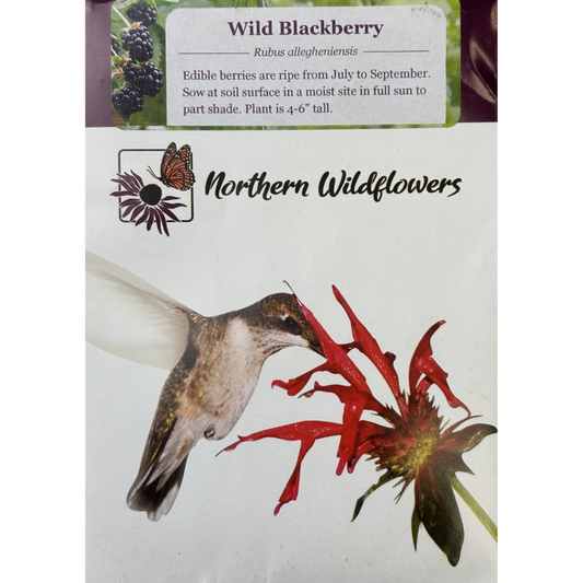 Northern Wildflowers Wild Blackberry Pkg.