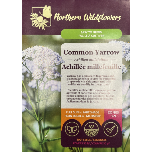 Northern Wildflowers Yarrow Common Pkg.