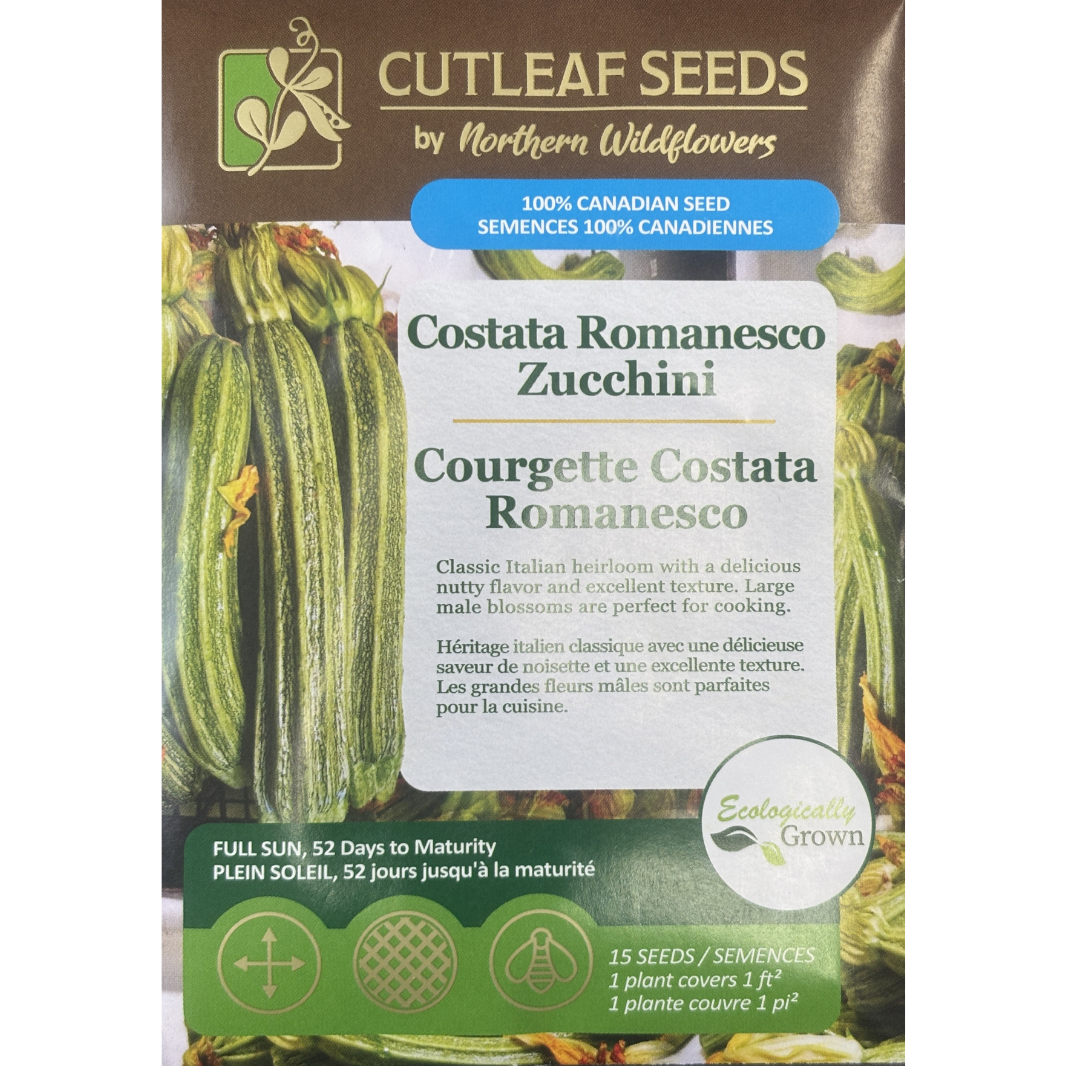 Northern Wildflowers Zucchini Costata Romanesco Pkg.