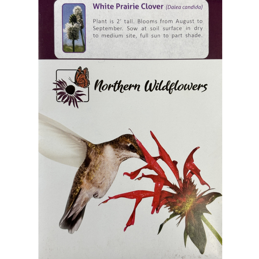 Northern Wildflowers Clover White Prairie