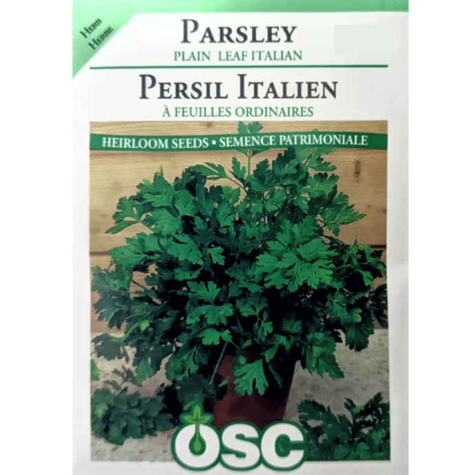 OSC Seeds Parsley Plain Leaf Italian