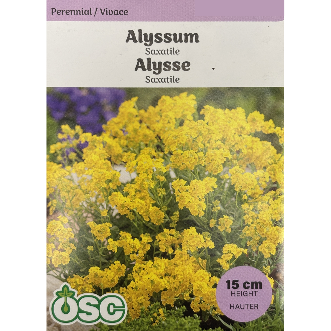 OSC Seeds Alyssum Saxatile Pkg.