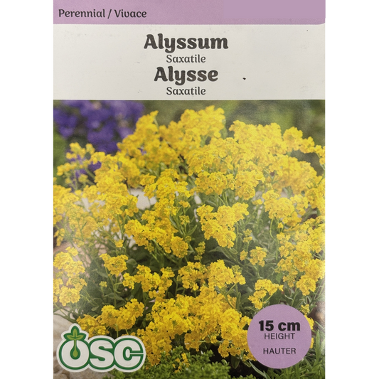 OSC Seeds Alyssum Saxatile Pkg.