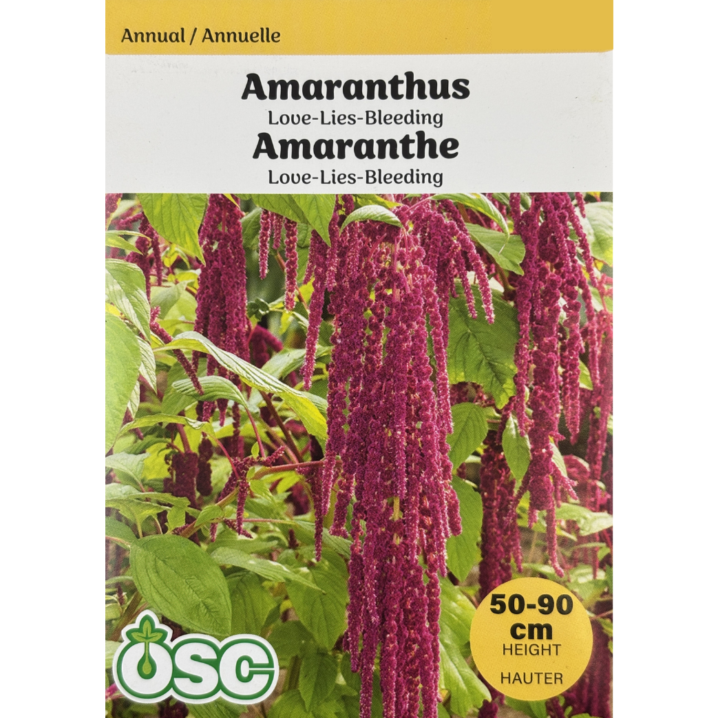 OSC Seeds Amaranthus Love-Lies-Bleeding Pkg.