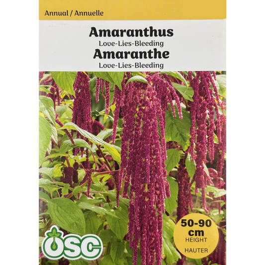 OSC Seeds Amaranthus Love-Lies-Bleeding Pkg.