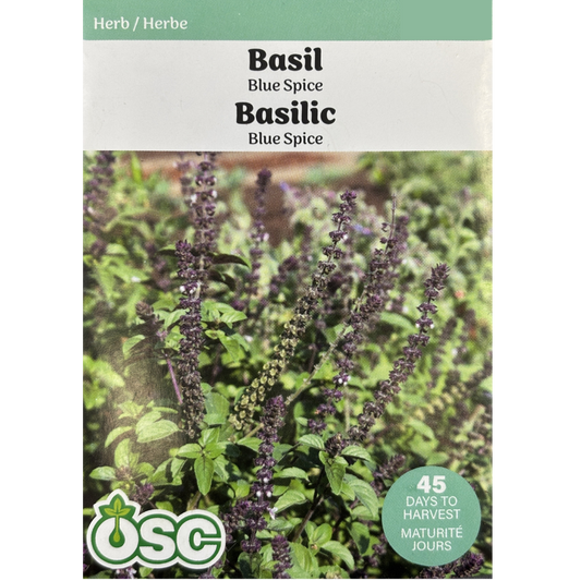 OSC Herb Seeds Basil Blue Spice Pkg.