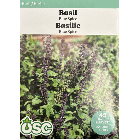 OSC Herb Seeds Basil Blue Spice Pkg.