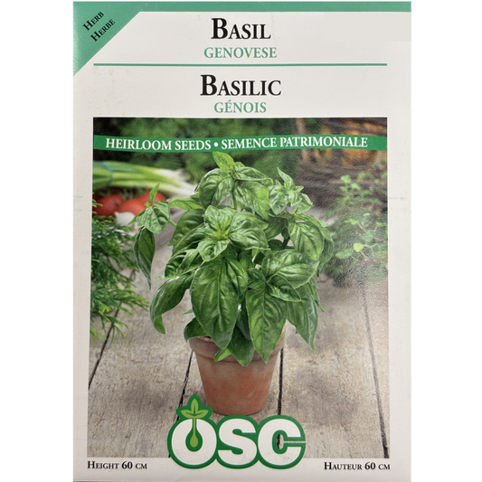 OSC Herb Seeds Basil Genovese Pkg.