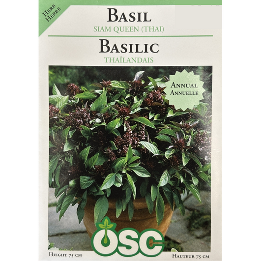 OSC Herb Seeds Basil Siam Queen Thai Pkg.