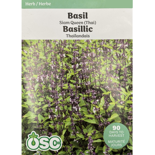 OSC Herb Seeds Basil Siam Queen Thai Pkg.