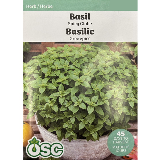 OSC Herb Seeds Basil Spicy Globe Pkg.