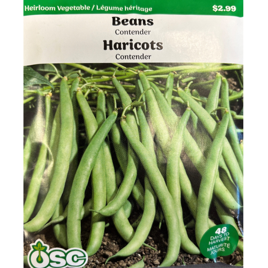 OSC Seeds Beans Contender Large Pkg.