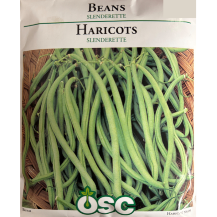 OSC Seeds Beans Slenderette