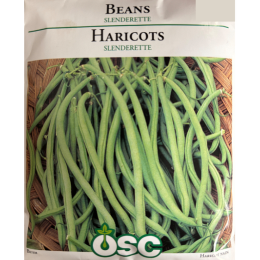 OSC Seeds Beans Slenderette