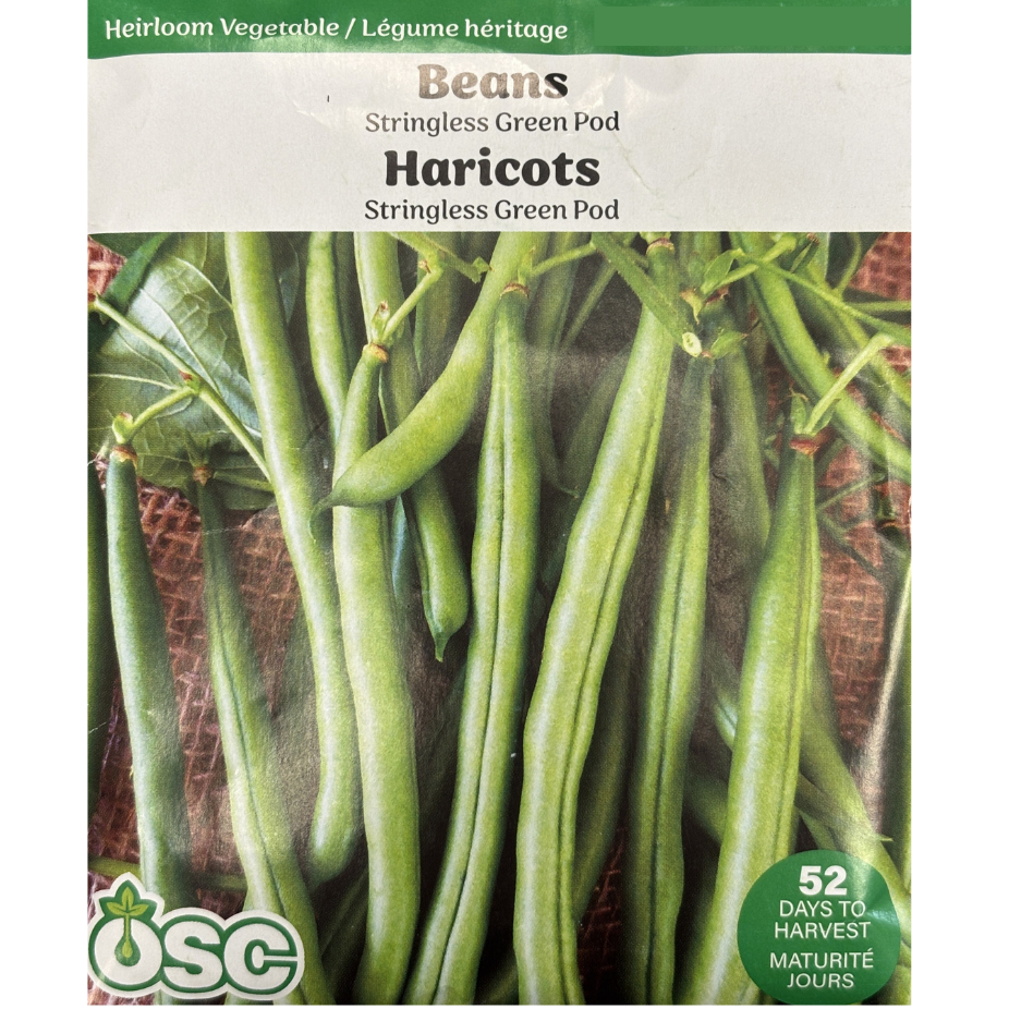 OSC Seeds Beans Stringless Bush Large Pkg.