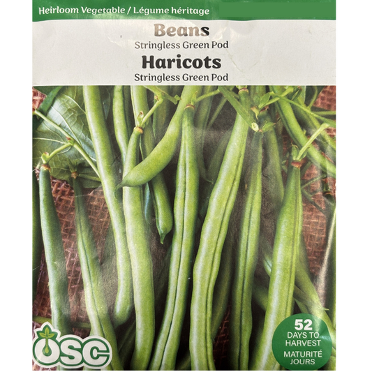 OSC Seeds Beans Stringless Bush Large Pkg.