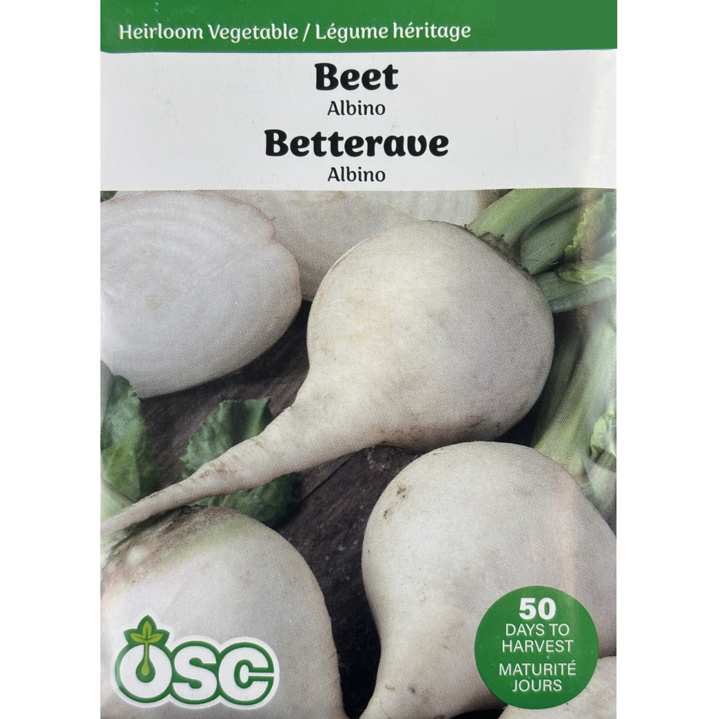 OSC Seeds Beets Albino Pkg.