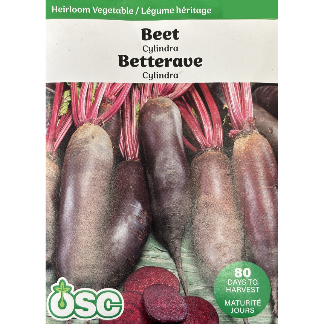 OSC Seeds Beets Cylindra Pkg.