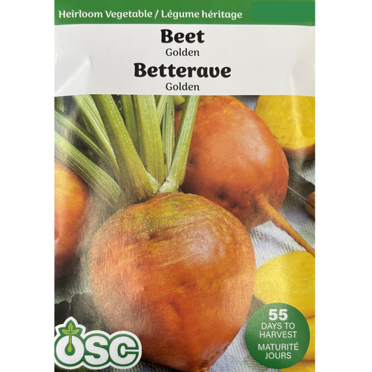 OSC Seeds Beets Golden Pkg.