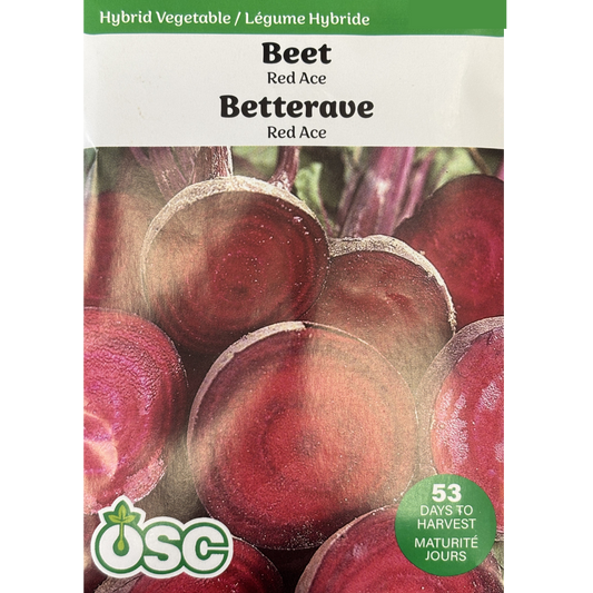 OSC Seeds Beets Red Ace Pkg.