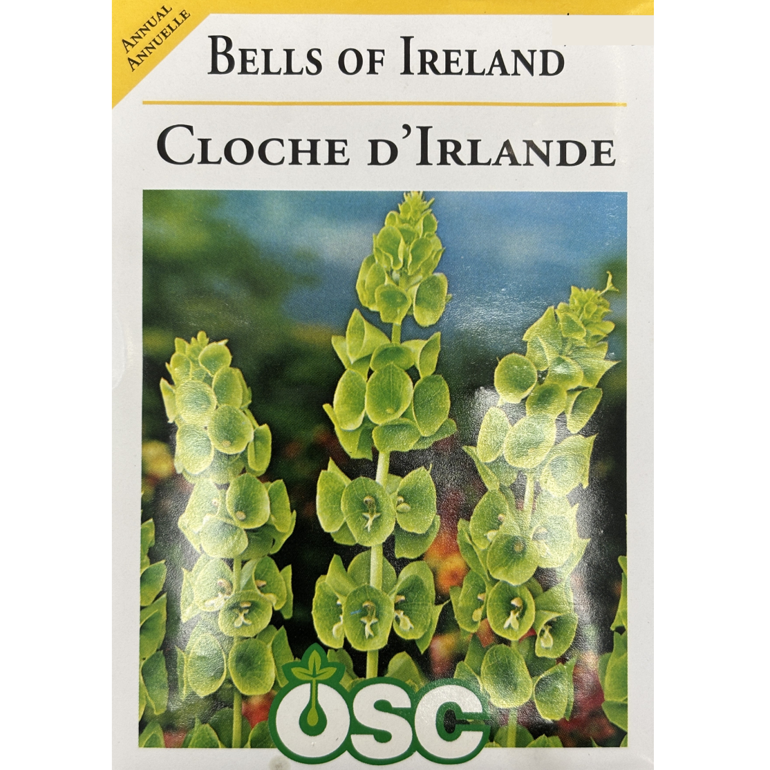 OSC Seeds Bells of Ireland Pkg.