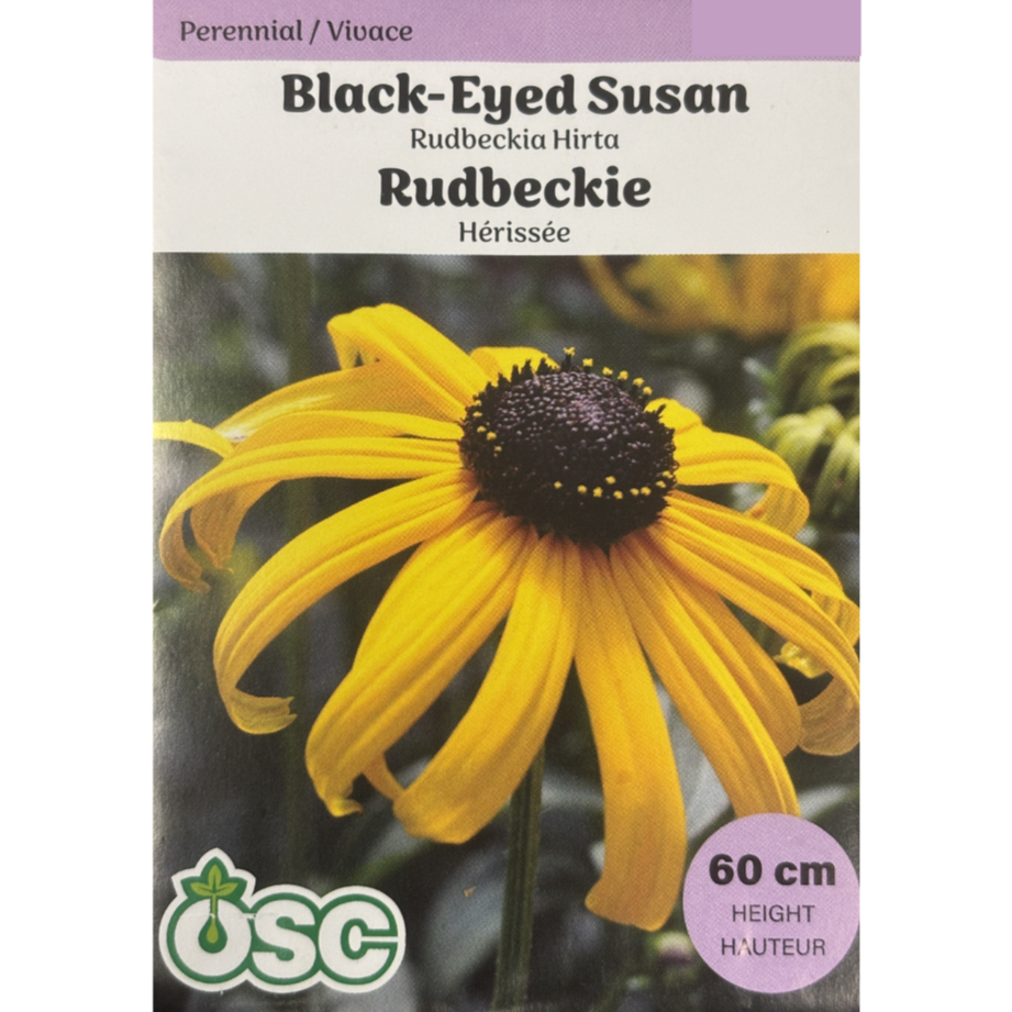 OSC Seeds Black-Eyed Susan Rudbeckia Hirta Pkg.