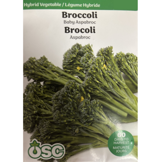 OSC Seeds Broccoli Broccolini Aspabroc Hybrid Pkg.