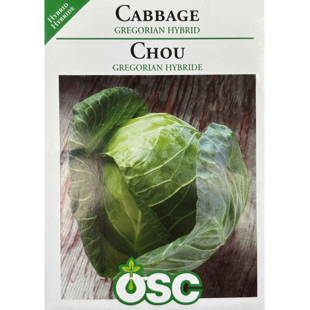 OSC Seeds Cabbage Gregorian Early Hybrid Pkg.