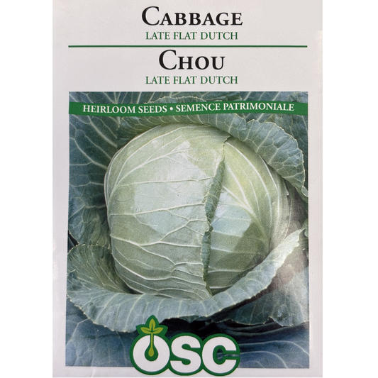 OSC Seeds Cabbage Flat Dutch Late Pkg.