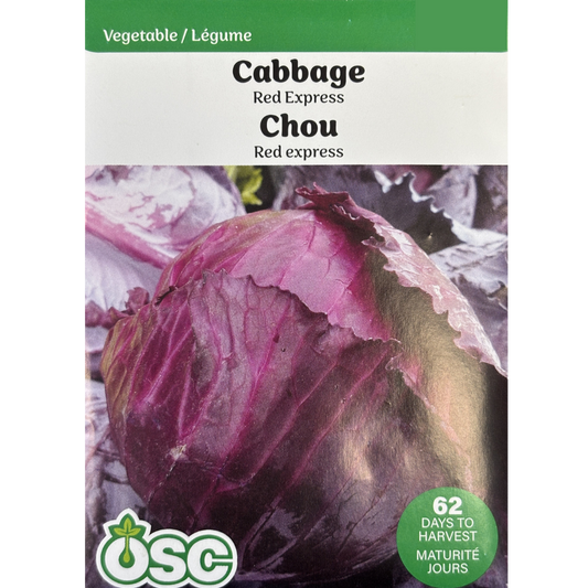 OSC Seeds Cabbage Red Express Pkg.