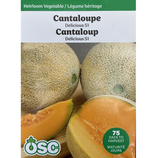 OSC Seeds Cantaloupe Delicious 51 Pkg.